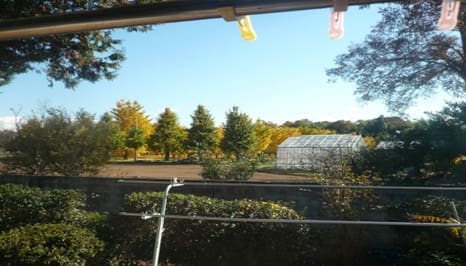 {{brizy_dc_image_alt imageSrc=