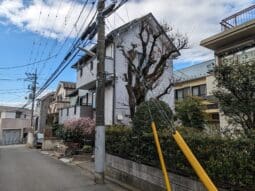 {{brizy_dc_image_alt entityId=